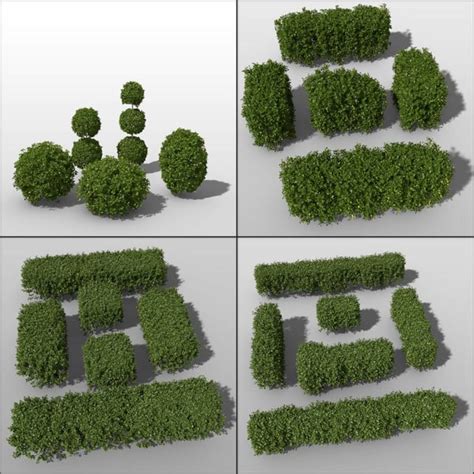 3d Shrub Models Max 3ds Obj C4d Fbx