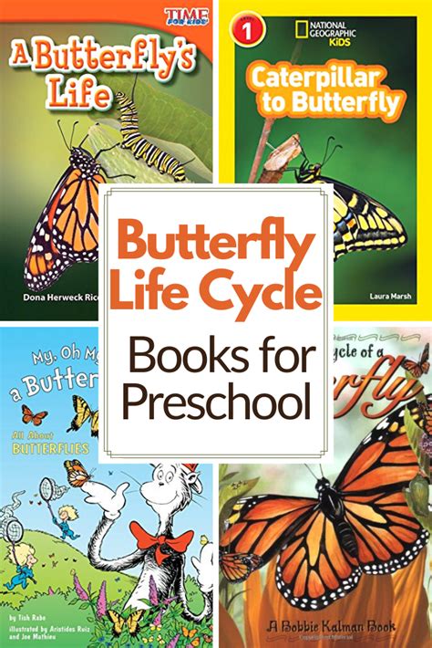 Butterfly Life Cycle Books Artofit