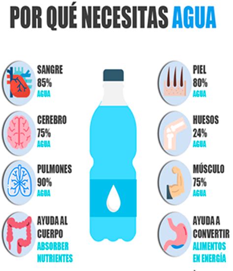 La Importancia Del Agua En La AlimentaciÓn Centro De Atención