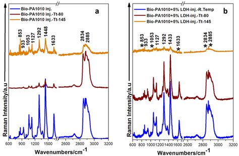 Chemosensors Free Full Text Scanning Electron Microscopy And Raman