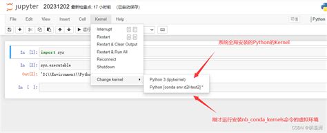 在Conda创建的虚拟环境下使用Jupyter Notebook 如何在conda的虚拟环境中运行jupyter notebook CSDN博客