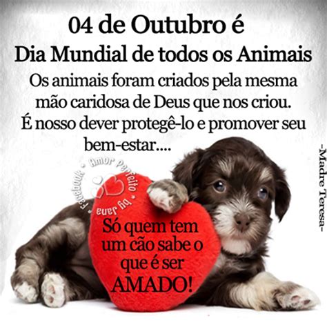 Bibi Leitura De Outubro Dia Mundial Dos Animais Recados