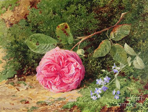 Pink Rose On A Mossy Bank 1875 Painting By Henry Sutton Palmer Fine Art America