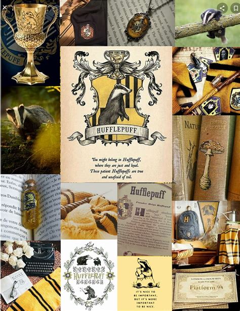 Top More Than 58 Hufflepuff Aesthetic Wallpaper Best Incdgdbentre