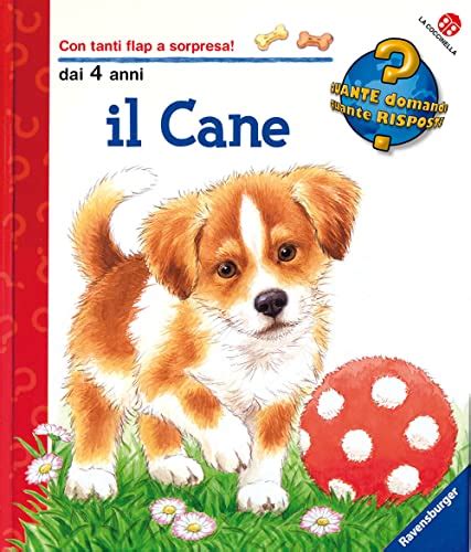 Il Cane I Migliori Prodotti A Confronto Mondo Dei Cani It Guida