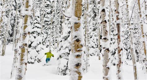 Ski Utah: Winter Sports on The Best Snow on Earth