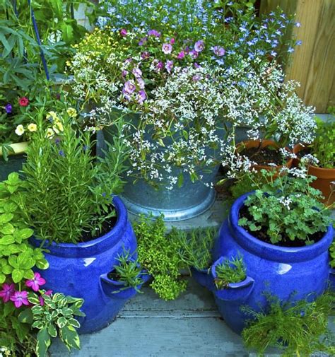 Easy Tips For Growing Herbs In Containers Container Herb Garden Herb