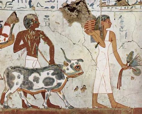 This Ancient Egyptian Papyrus Is The Oldest Known Account Of Sexual