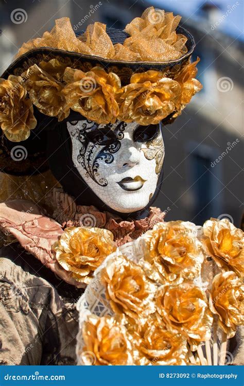 Traje Do Carnaval De Veneza Foto De Stock Imagem De Forma Traje 8273092