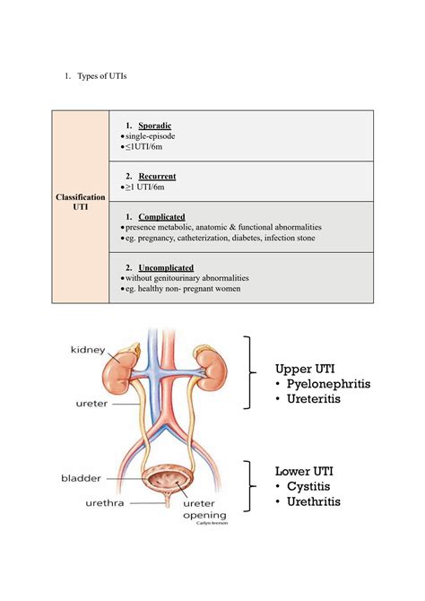 SOLUTION Urinary Tract Infection Diagnosis Studypool