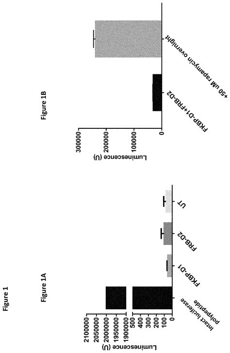 Assays Using Arrestin Recruitment And Unmodified Receptors Eureka