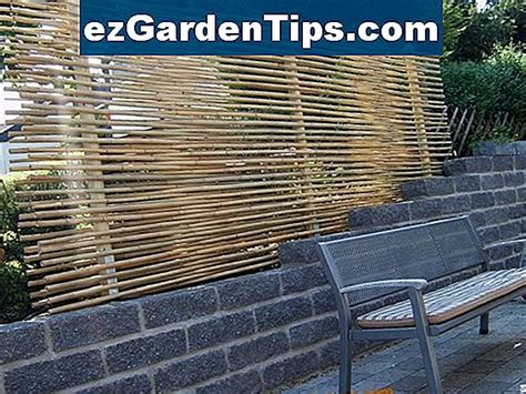 Wie Man Bamboo Dauerhaft T Tet Tipps G Rtner De Ezgardentips