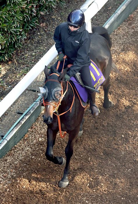 【ホープフルs・山下の特注馬】能力は高いショウナンラプンタ 鮫島克駿騎手も期待 Umatoku 馬トク