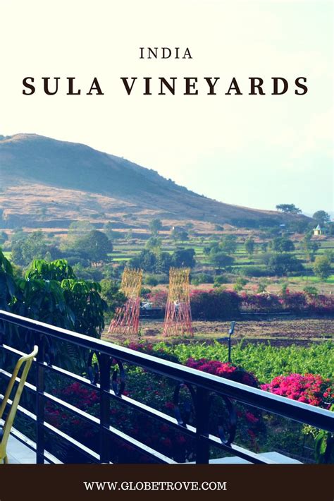 Touring The Sula Vineyards An Evening Of Wine Friendship And Fun