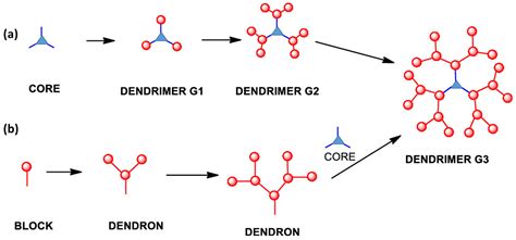 Dendrimers And Other Dendritic Polymers 1