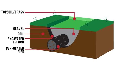 What Is A Leach Field And How Does It Work Theblahoctopus Inblahworld