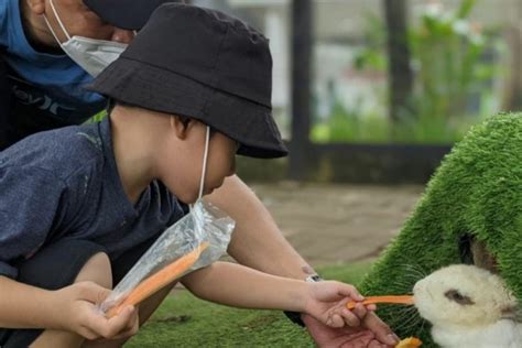 Tempat Wisata Edukasi Di Tangerang Buat Hangout Bareng Anak