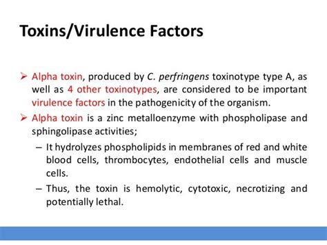 Clostridia Infection