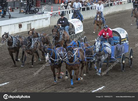 Chuckwagon Racing Annual Calgary Stampede Calgary Alberta Canada ...