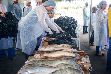 Semana Santa Prefeitura Entrega Toneladas De Peixes Para Fam Lias