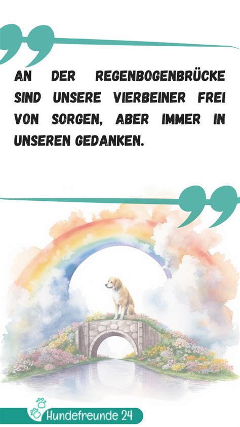 Hunde Regenbogenbr Cke Trauerspr Che Abschied Vom Hund Hundefreunde