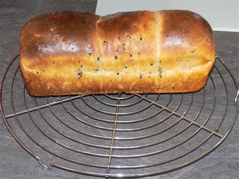 Brioche Aux P Pites De Chocolat Dukan La Cuisine De Fanie