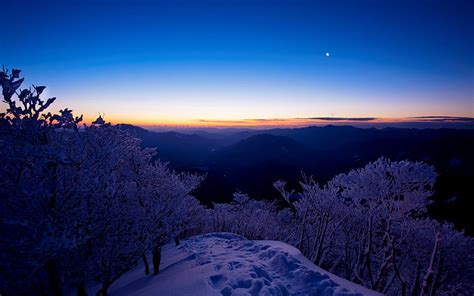 El cielo nieve arboles puesta de sol montañas un mes Fondo de