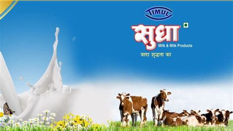 Sudha Milk Rate Increase By Rs 2 To Rs 4 Per Litre New Price Will Start From 11 November बिहार