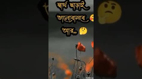 জীবনে এমন একটা মানুষের প্রয়োজন Youtube