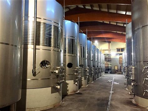 Cómo se Elabora el Vino Tinto Bodegas Murillo Viteri