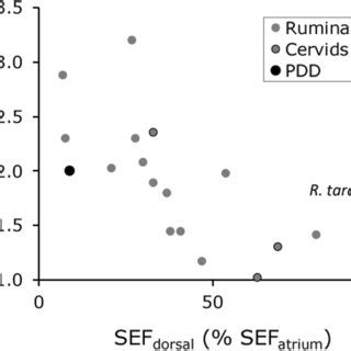 Relationship Of The Mean Retention Time Mrt Between Small And Large