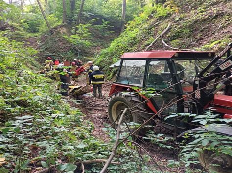 Tragedia przy wycince drzew Zginął uderzony konarem mężczyzna