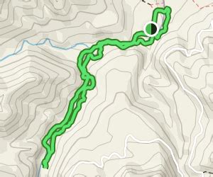 Patuna Chasm Walk: 15 Reviews, Map - Wellington, New Zealand | AllTrails