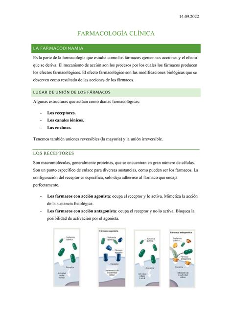 Tema 3 La farmacodinamia 14 FARMACOLOGÍA CLÍNICA LA FARMACODINAMIA