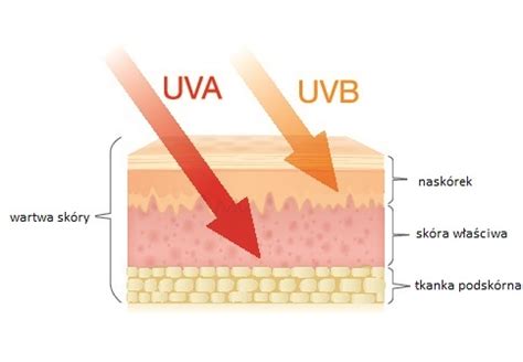 Promieniowanie Ultrafioletowe Uv Zastosowanie Lampy Kwarcowej