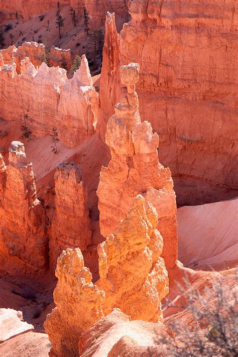 Bryce Canyon Hoodoos Photograph by John M Bailey | Fine Art America