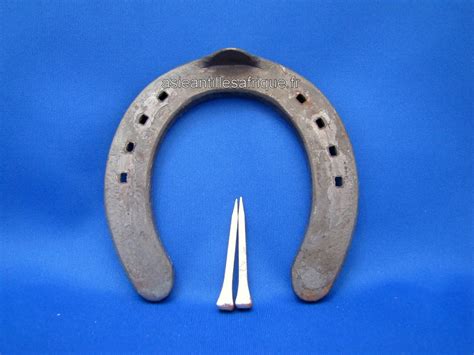 fer  cheval asie antilles afrique