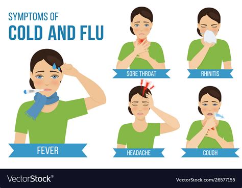 Flu And Cold Royalty Free Vector Image VectorStock