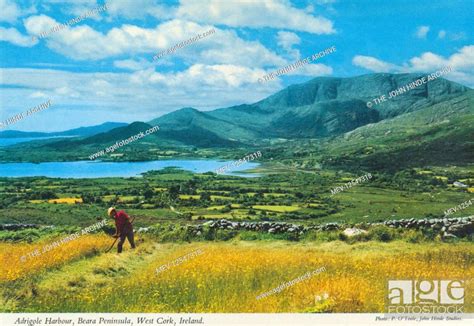 Adrigole Harbour Beara Peninsula West Cork Republic Of Ireland