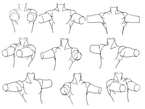 Character Anatomy | Shoulders