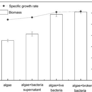 Specific Growth Rate And Biomass Of C Pyrenoidosa In Attached Culture