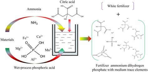 Chelation Of Metal Ions With Citric Acid In The Ammoniation Process Of