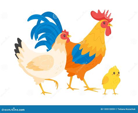 Chicken Family: Hen, Rooster Stock Vector - Illustration of family, agriculture: 135512059