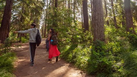 Transfer Applicants Other Paths To Admission Uc Davis