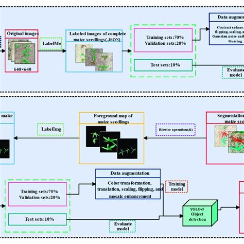 Flow Chart Of Maize Seedlings And Leaves Detection Download