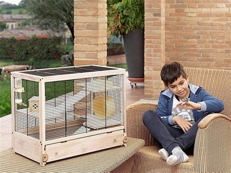 Best 6 Small Rat Cages In 2022 - Petovly