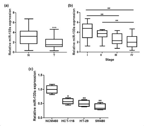 Mir 133a Was Downregulated In The Crc Clinical Specimens And Human Crc