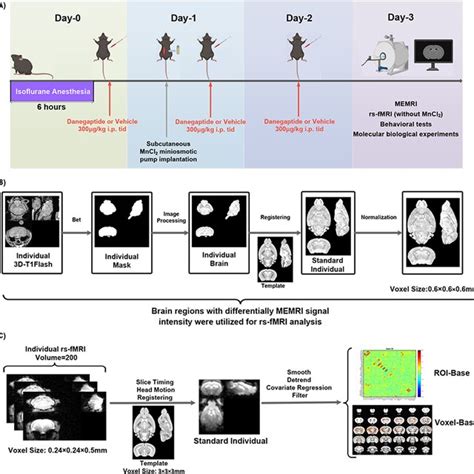 temporal diagram depicting  groups treatments  procedures