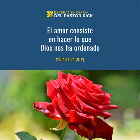 Entiende la Definición de Amor de Dios Pastor Rick s Daily Hope