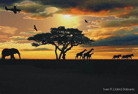 "African Savanna At Sunset " by Ivan P. (John) Dobranic | Redbubble